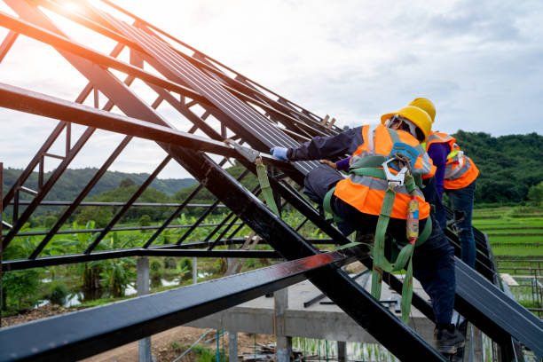 Best Storm Damage Roof Repair  in Sussex, NJ